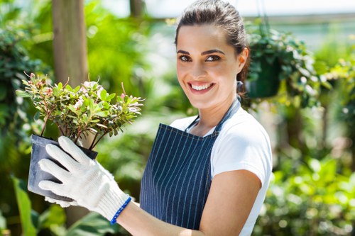 Urban tree maintenance and arboricultural work in Plaistow