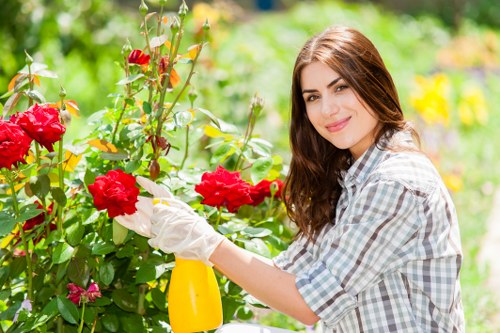 Supplier compliance audit and document review for ethical labour standards