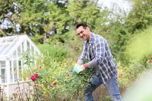 Professional assessment of a tree in a garden with limited access