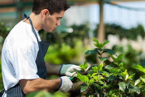 Tree care specialist handling branch management in Plaistow