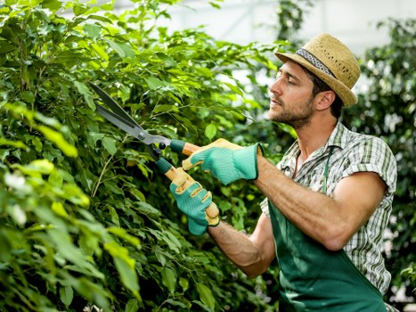 Final secure payment confirmation for Tree Surgeons Plaistow services