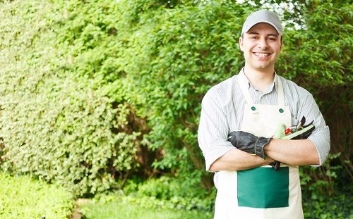 Local stump removal service for homes and businesses in Plaistow