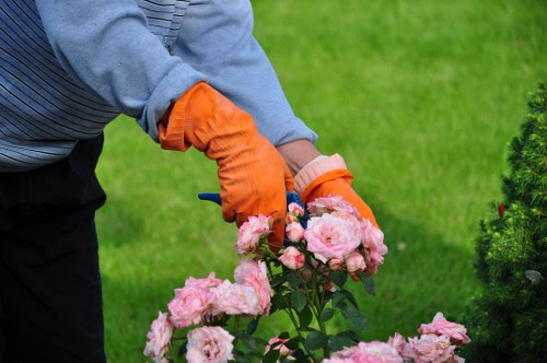 Safe and professional tree surgery operations in Plaistow